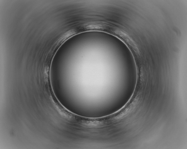 X0000113031233200908271448