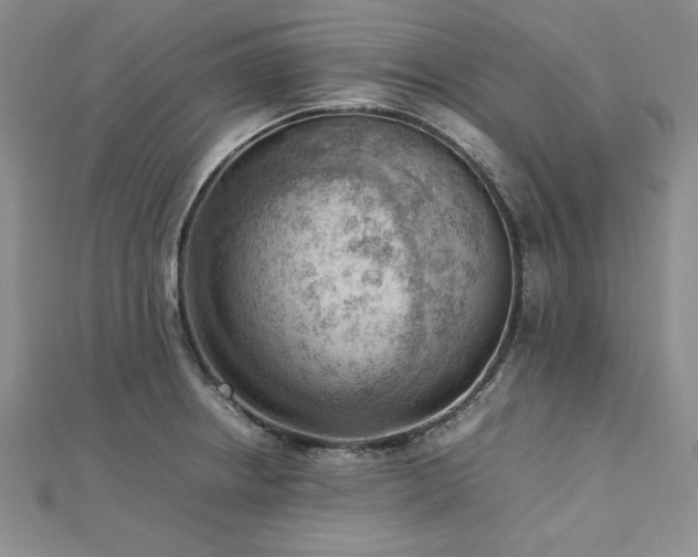 X0000113031234200908271448