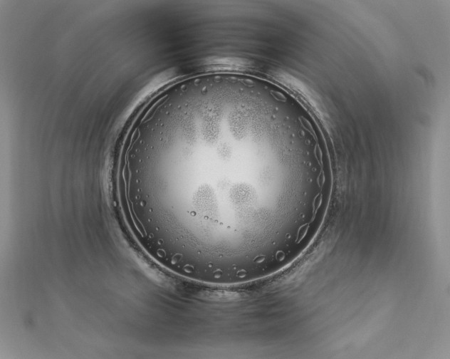 X0000113031235200908271448