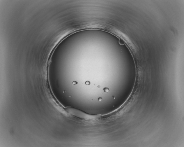 X0000113031236200908271448