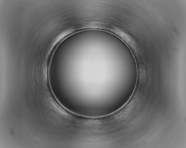 X0000113031238200908271448