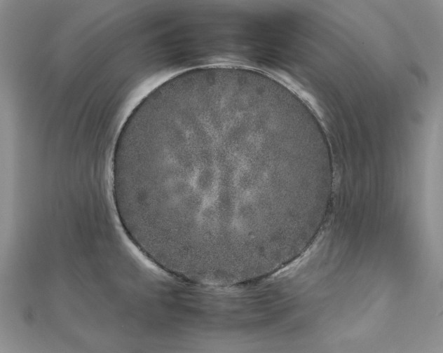 X0000113031239200908271448