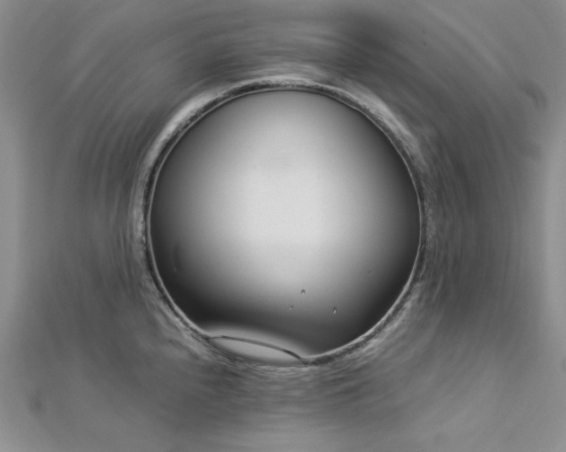 X0000113031240200908271448