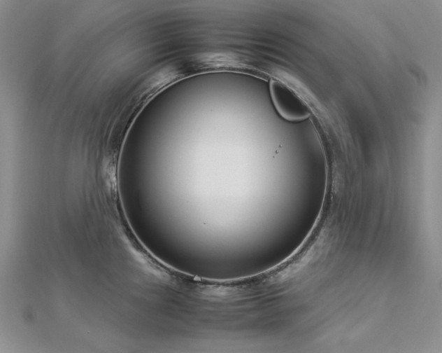 X0000113031241200908271448