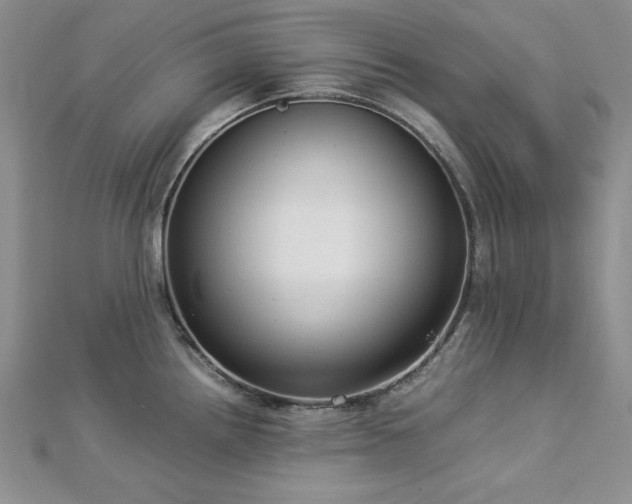 X0000113031242200908271448