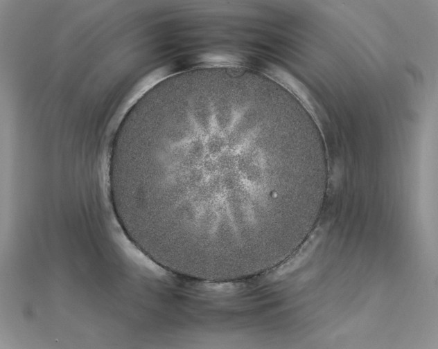 X0000113031243200908271448