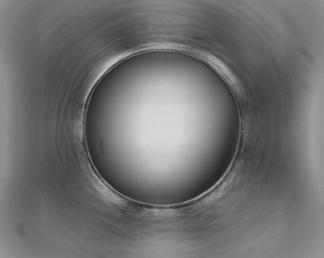 X0000113031244200908271448