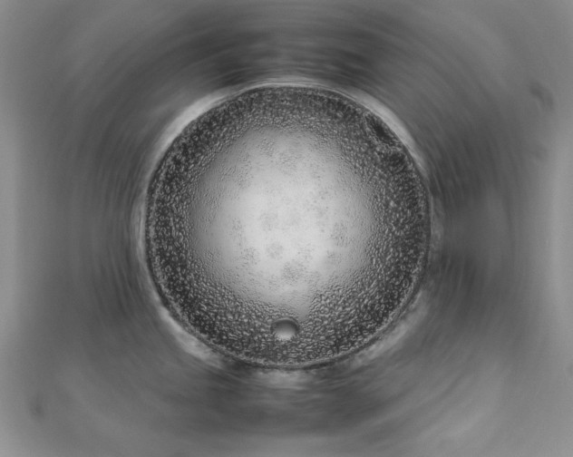 X0000113031245200908271448