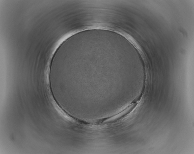 X0000113031246200908271448