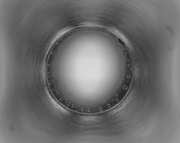 X0000113031247200908271448