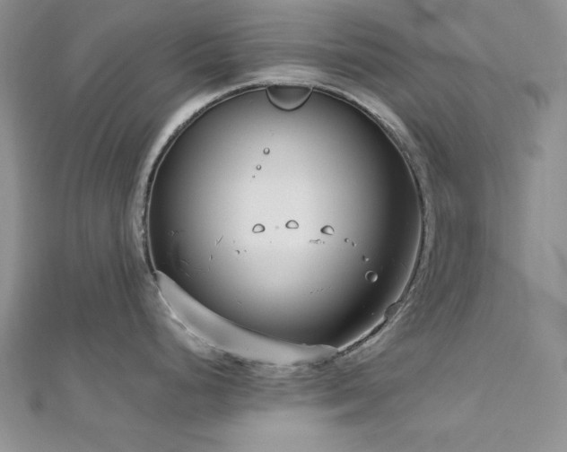 X0000113031248200908271448