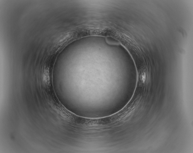 X0000113031252200908271447