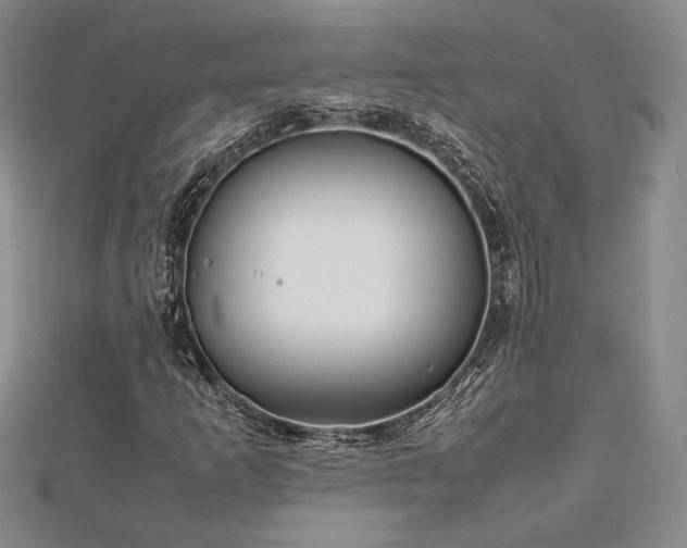 X0000113031253200908271447