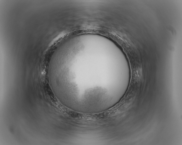 X0000113031254200908271447