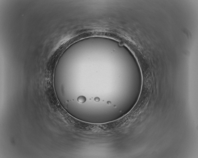 X0000113031255200908271447