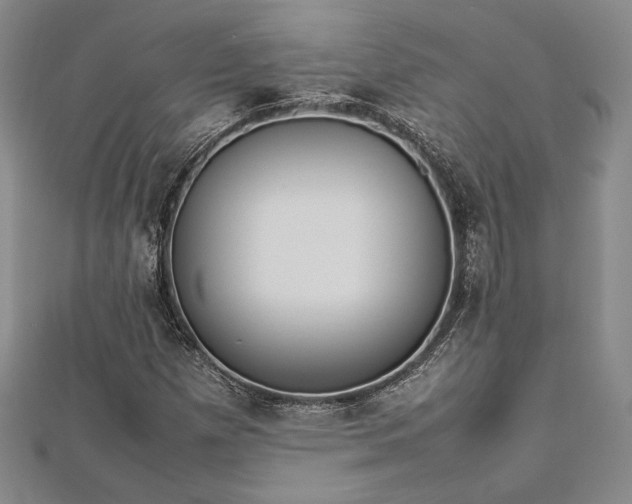 X0000113031257200908271447