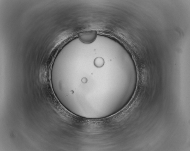 X0000113031258200908271447