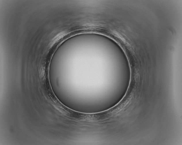 X0000113031259200908271447