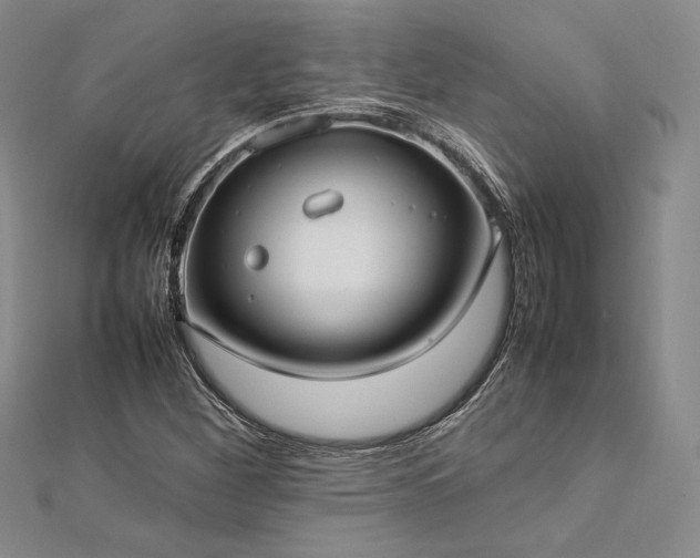 X0000113031260200908271447