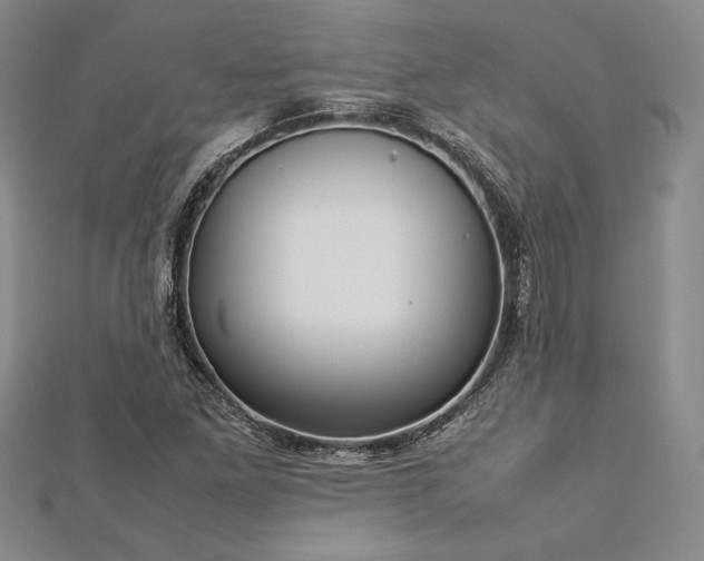 X0000113031261200908271447