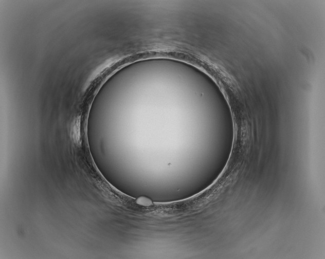 X0000113031262200908271447