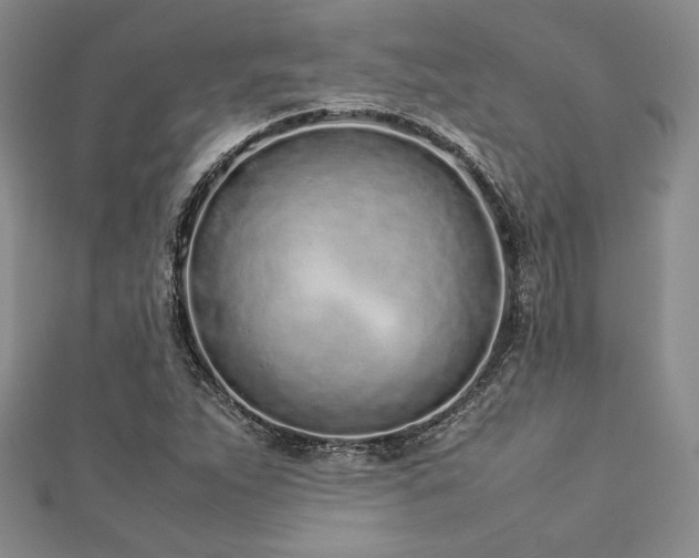 X0000113031263200908271447