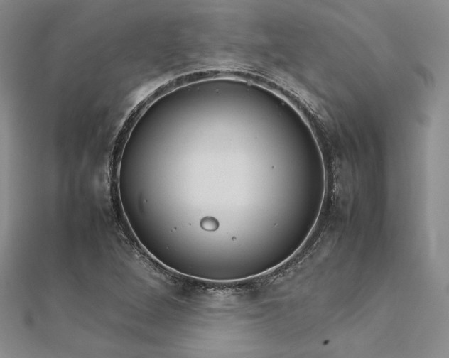 X0000113031264200908271447