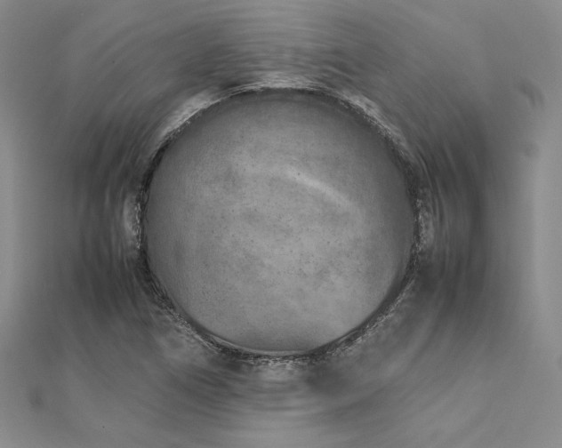 X0000113031266200908271447