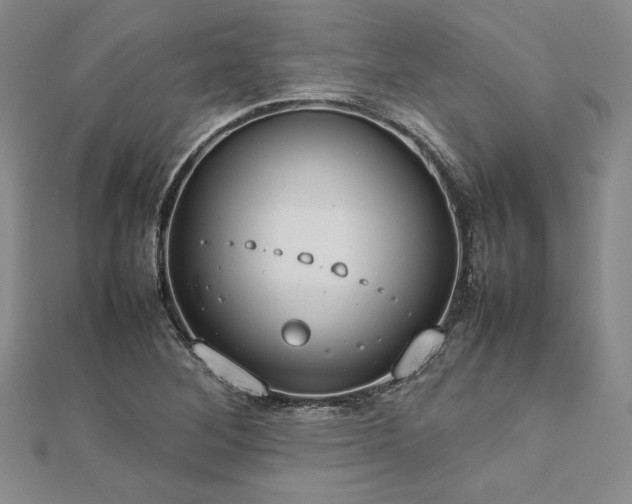 X0000113031268200908271447