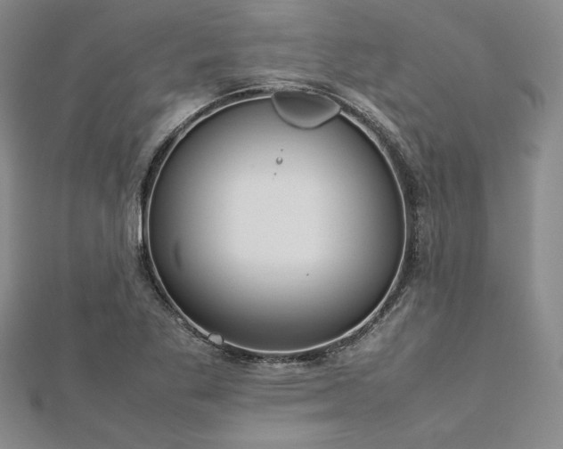 X0000113031269200908271447