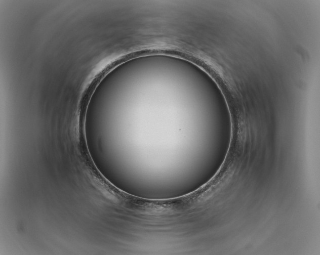 X0000113031270200908271447