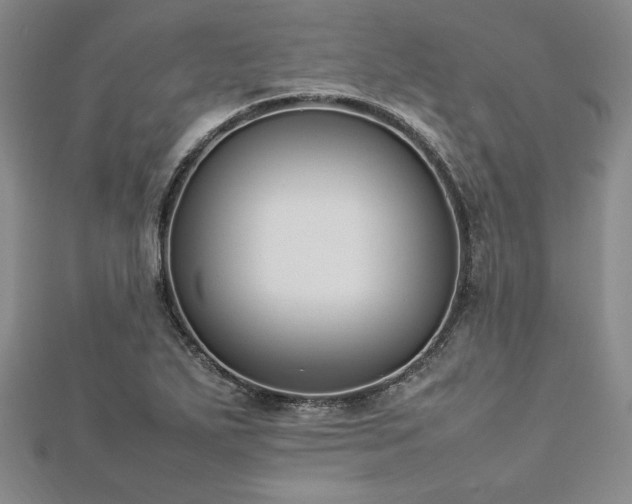 X0000113031271200908271447