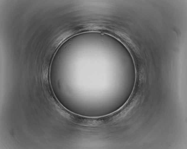 X0000113031273200908271447