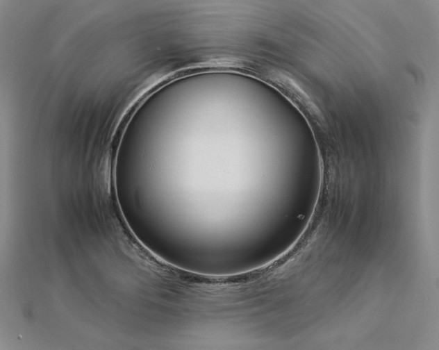 X0000113031276200908271447