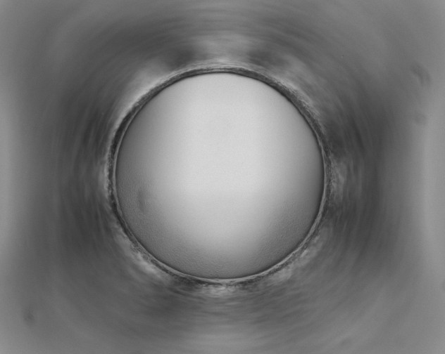 X0000113031278200908271447