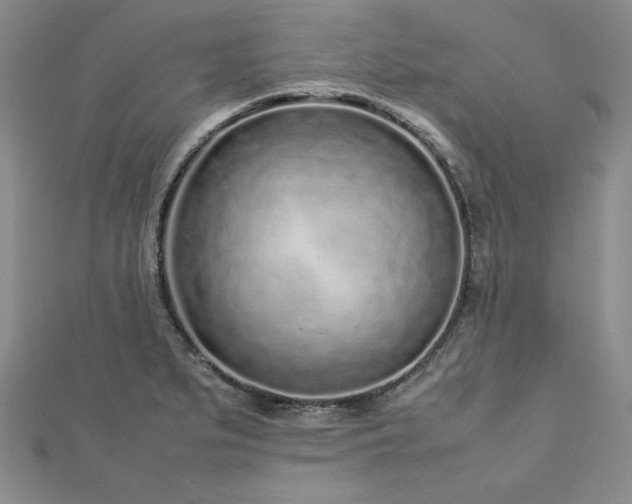 X0000113031279200908271447