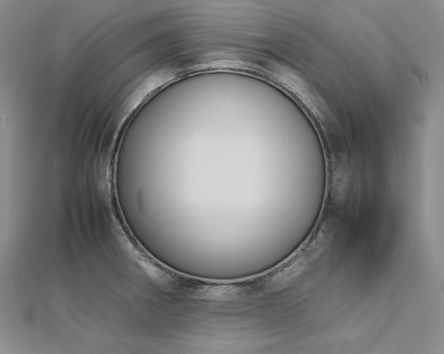 X0000113031282200908271447