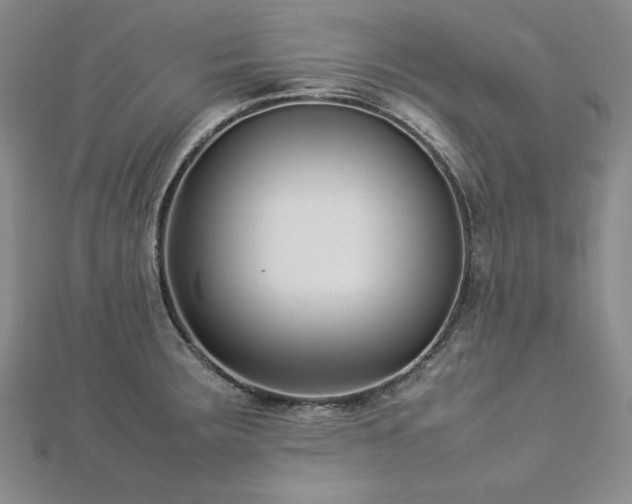 X0000113031283200908271447