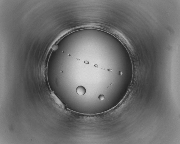 X0000113031284200908271447