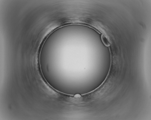 X0000113031285200908271447