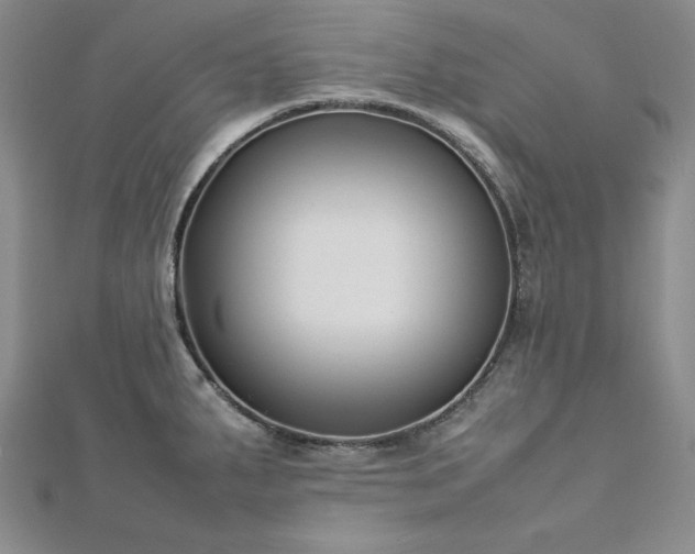 X0000113031287200908271447