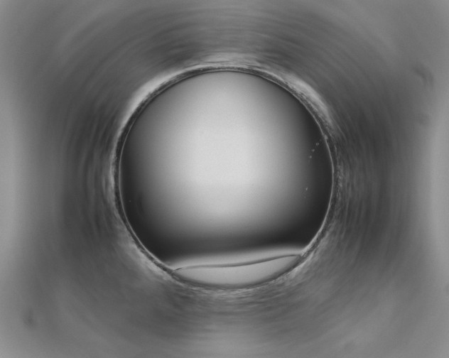 X0000113031288200908271447