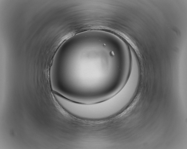 X0000113031289200908271447