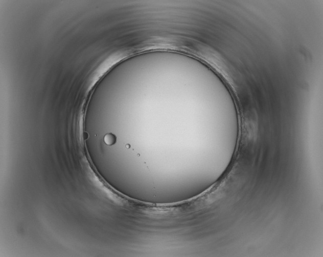 X0000113031290200908271447