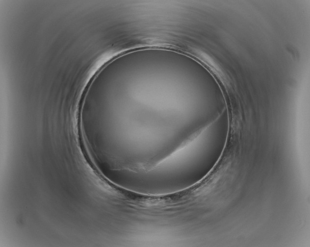 X0000113031291200908271447