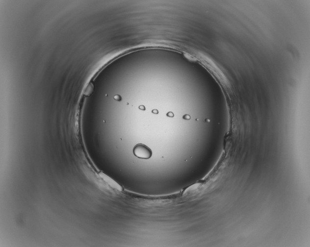 X0000113031292200908271447