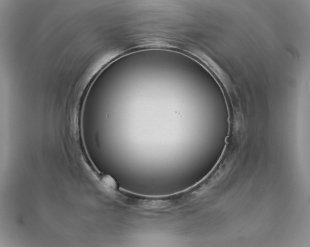 X0000113031293200908271447