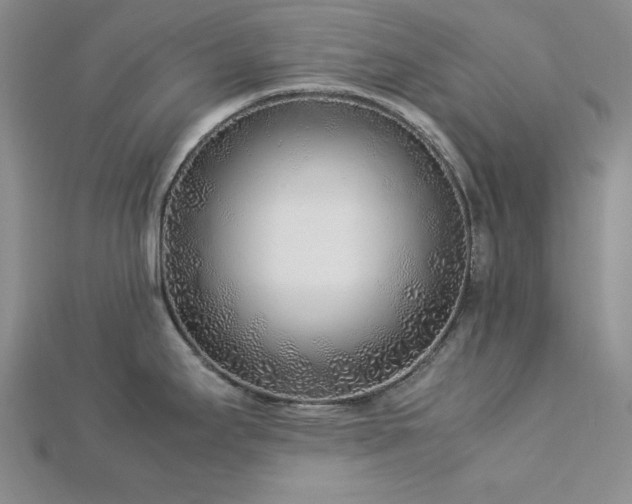 X0000113031295200908271447