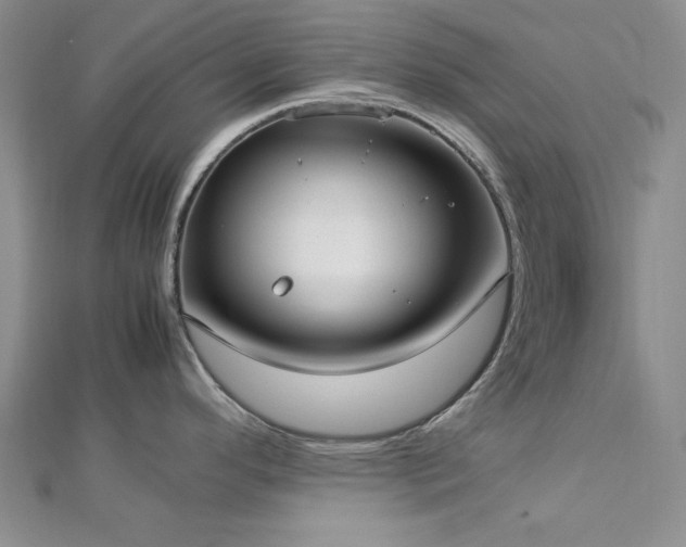 X0000113031296200908271447