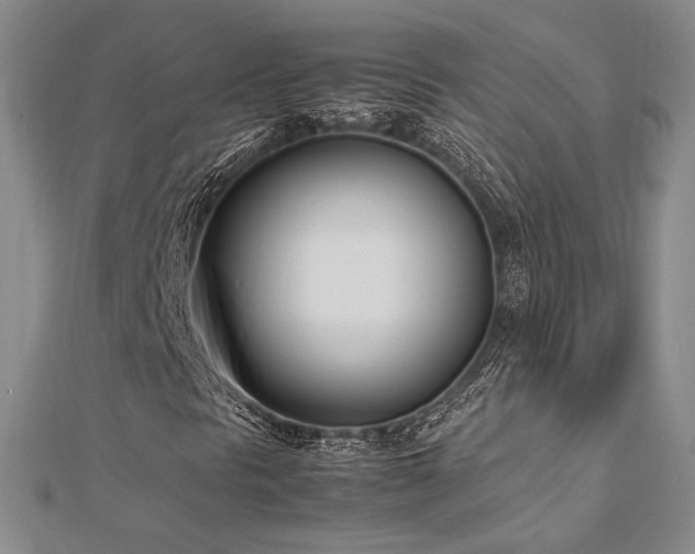 X0000113031297200908271446